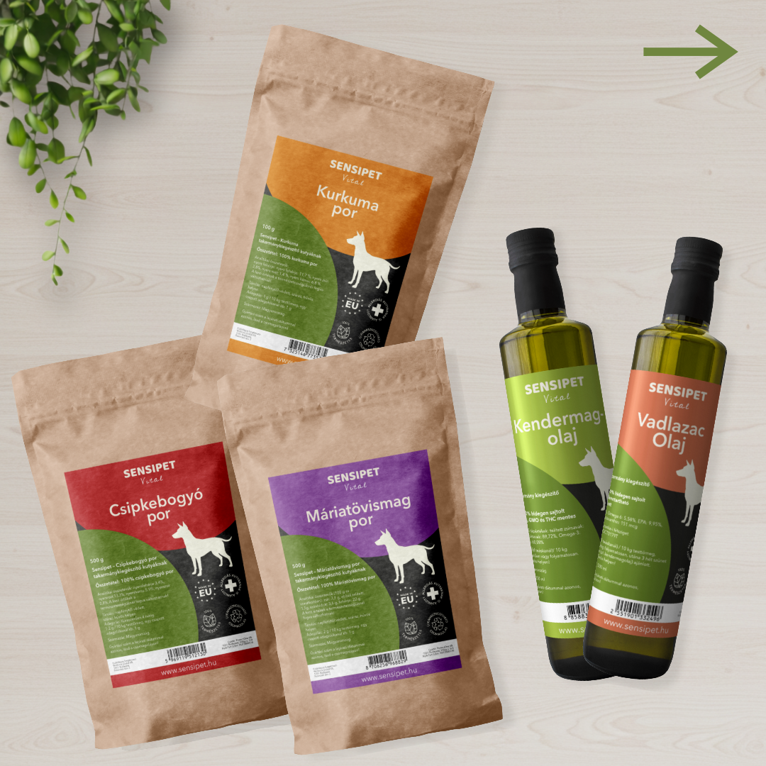 Immunrendszer támogatás